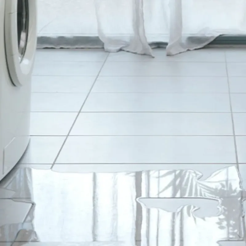 Appliance Leak Cleanup in Fish Hawk, FL