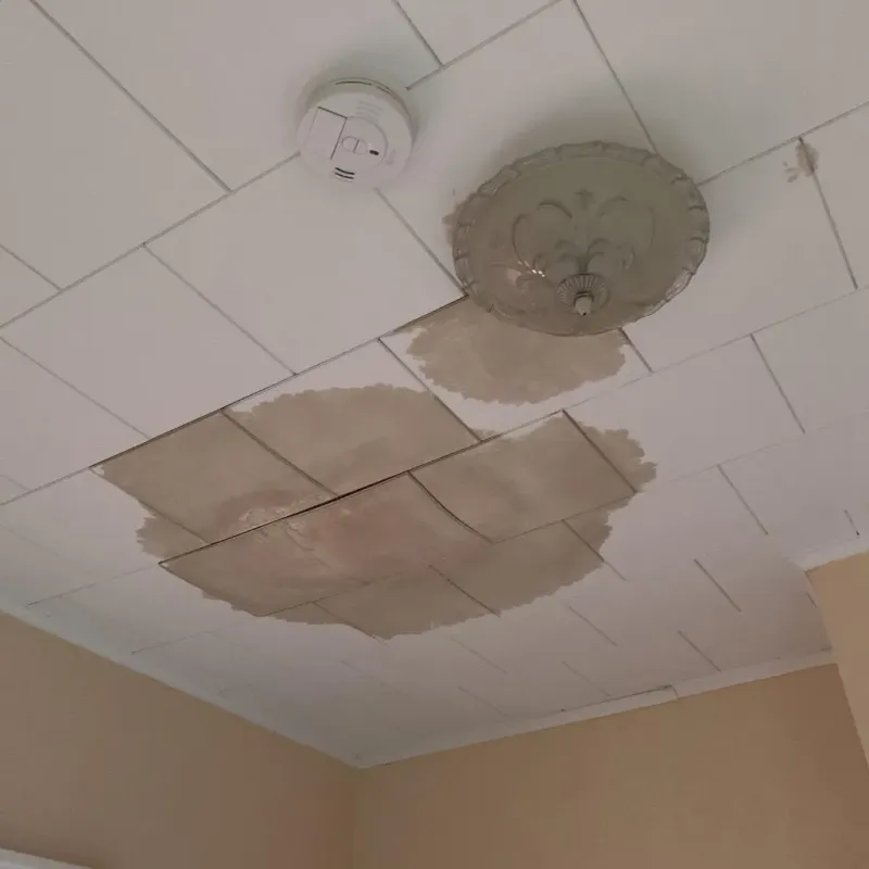 Ceiling Water Damage Repair in Fish Hawk, FL